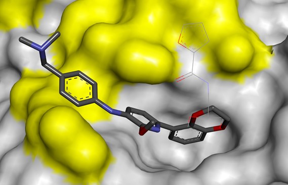 Protein-Protein Interactions | PPI Drug Discovery | Domainex